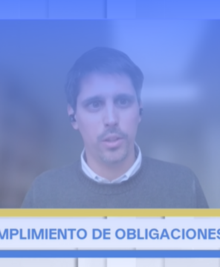 Copia de Copia de Serie Constitucional